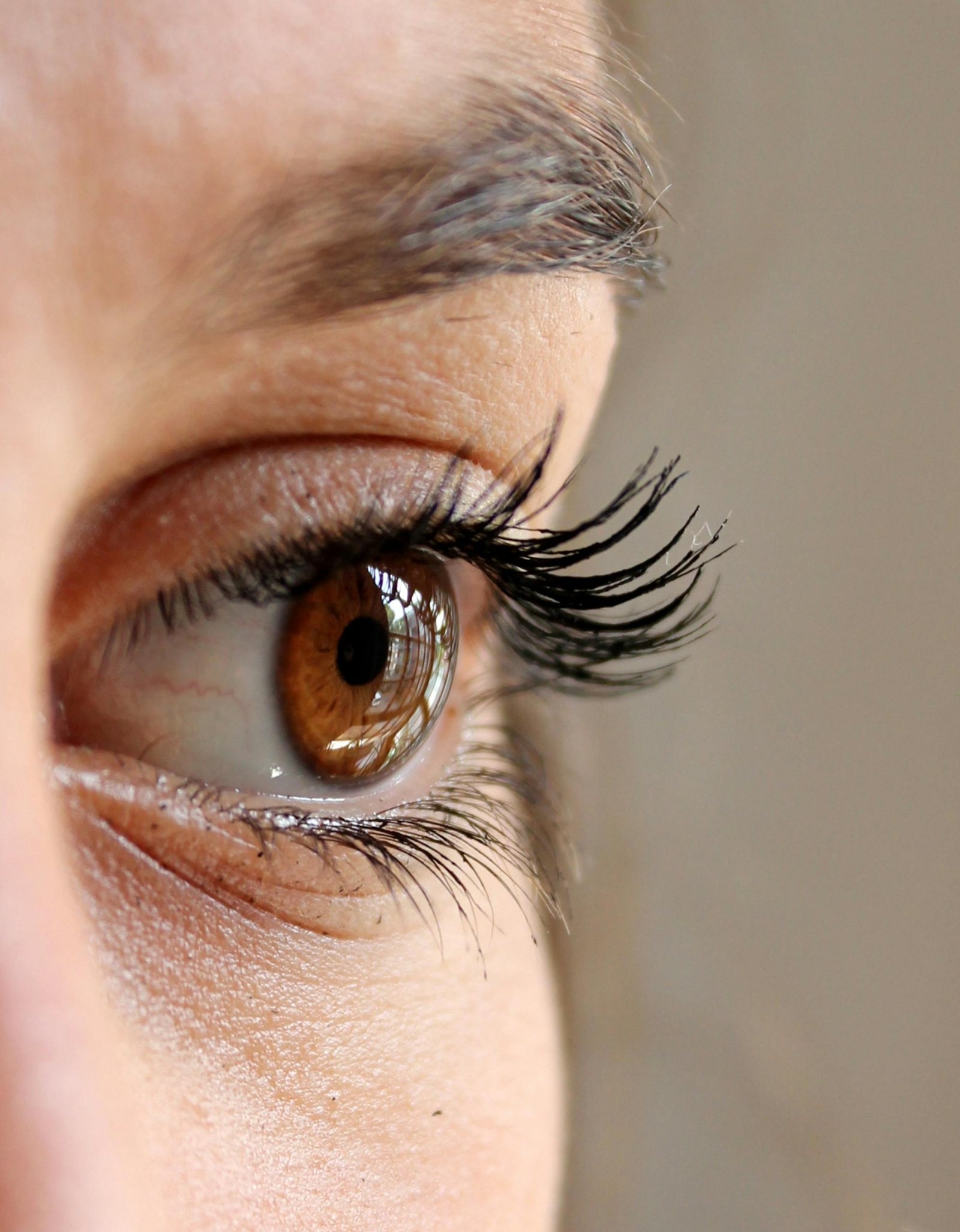 Close-up of an eye with long, defined eyelashes